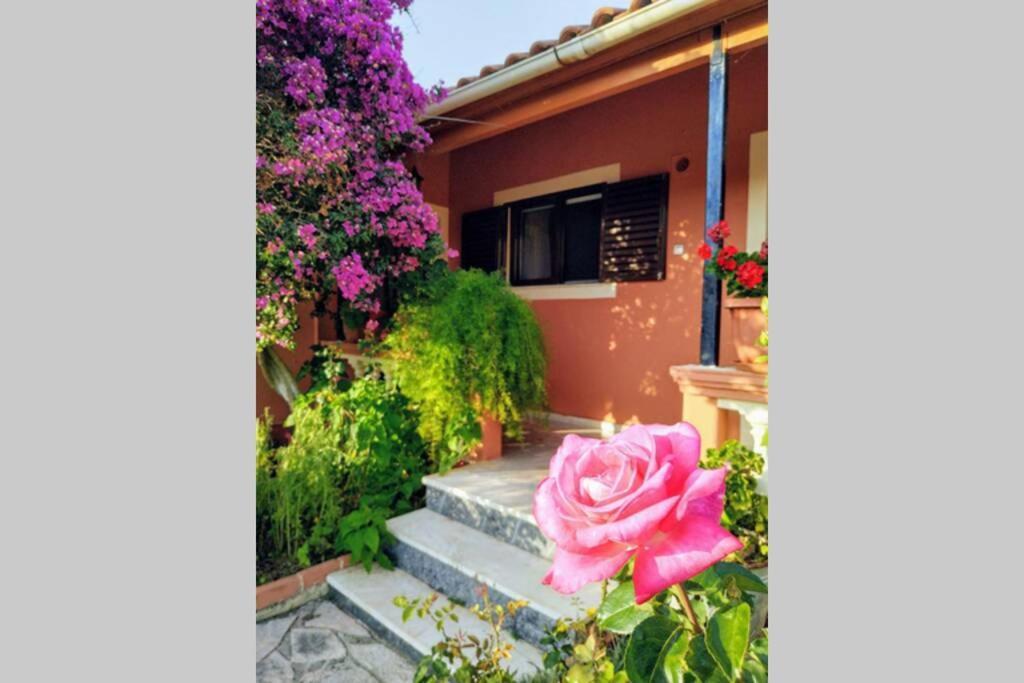 Rose Garden Villa Melikia Exterior photo
